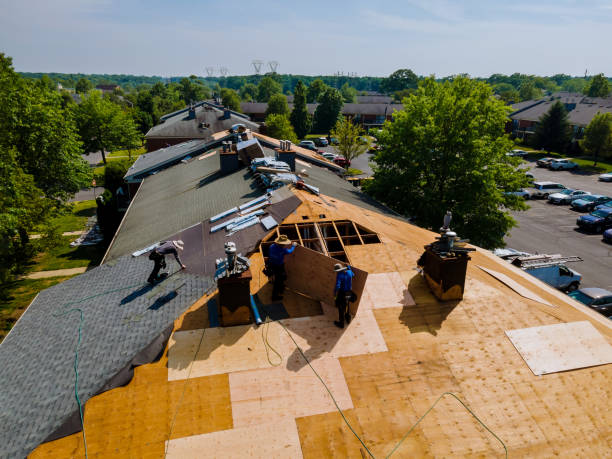 Best Roof Waterproofing Services  in Mount Zion, GA