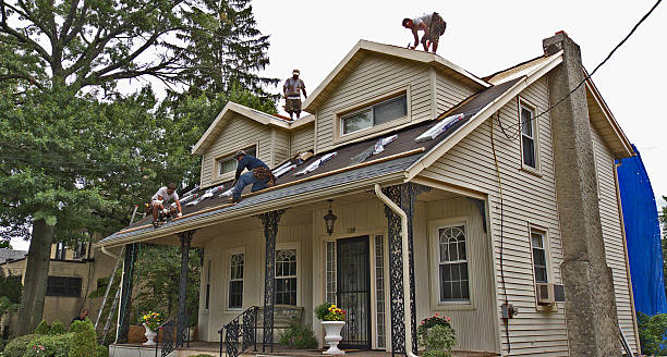 Best Gutter Installation and Roofing  in Mount Zion, GA